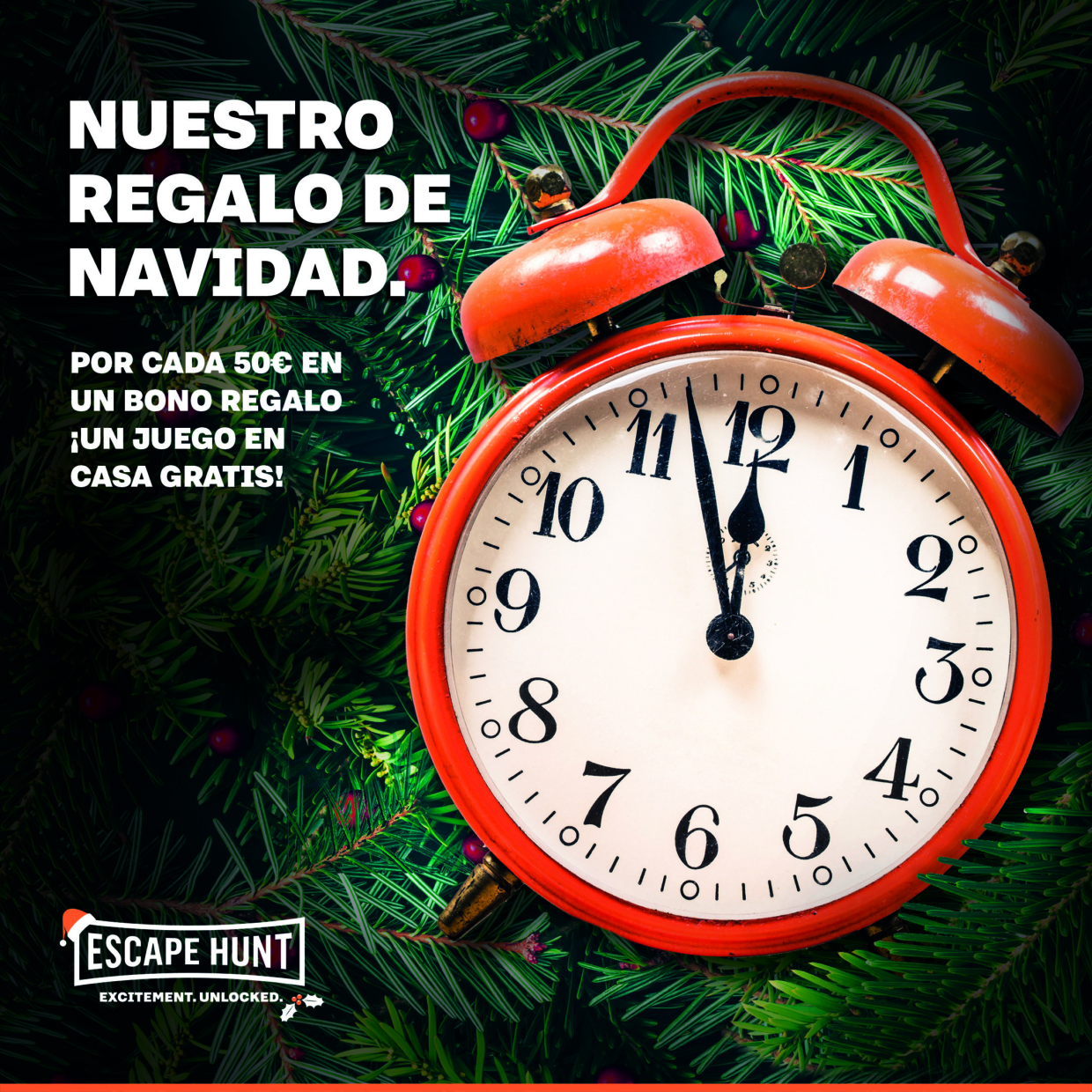NUESTRO REGALO DE NAVIDAD