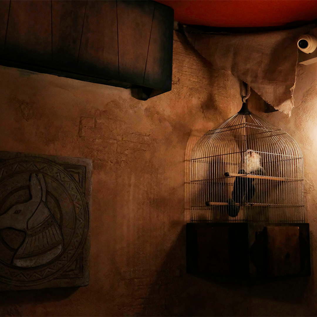 Aladdin cage à oiseau