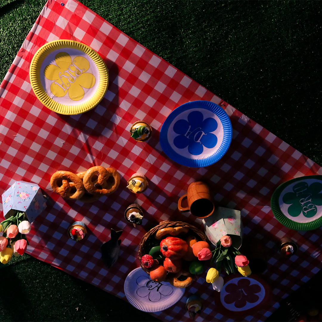 Merlin nappe pic-nique