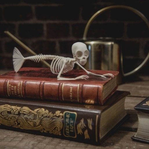 Escape game Paris Greenhouse - sirène